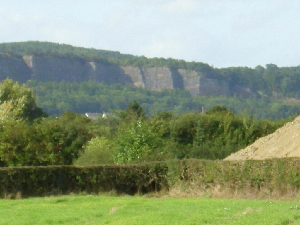 Ty Llew 호텔 Llandysilio 객실 사진